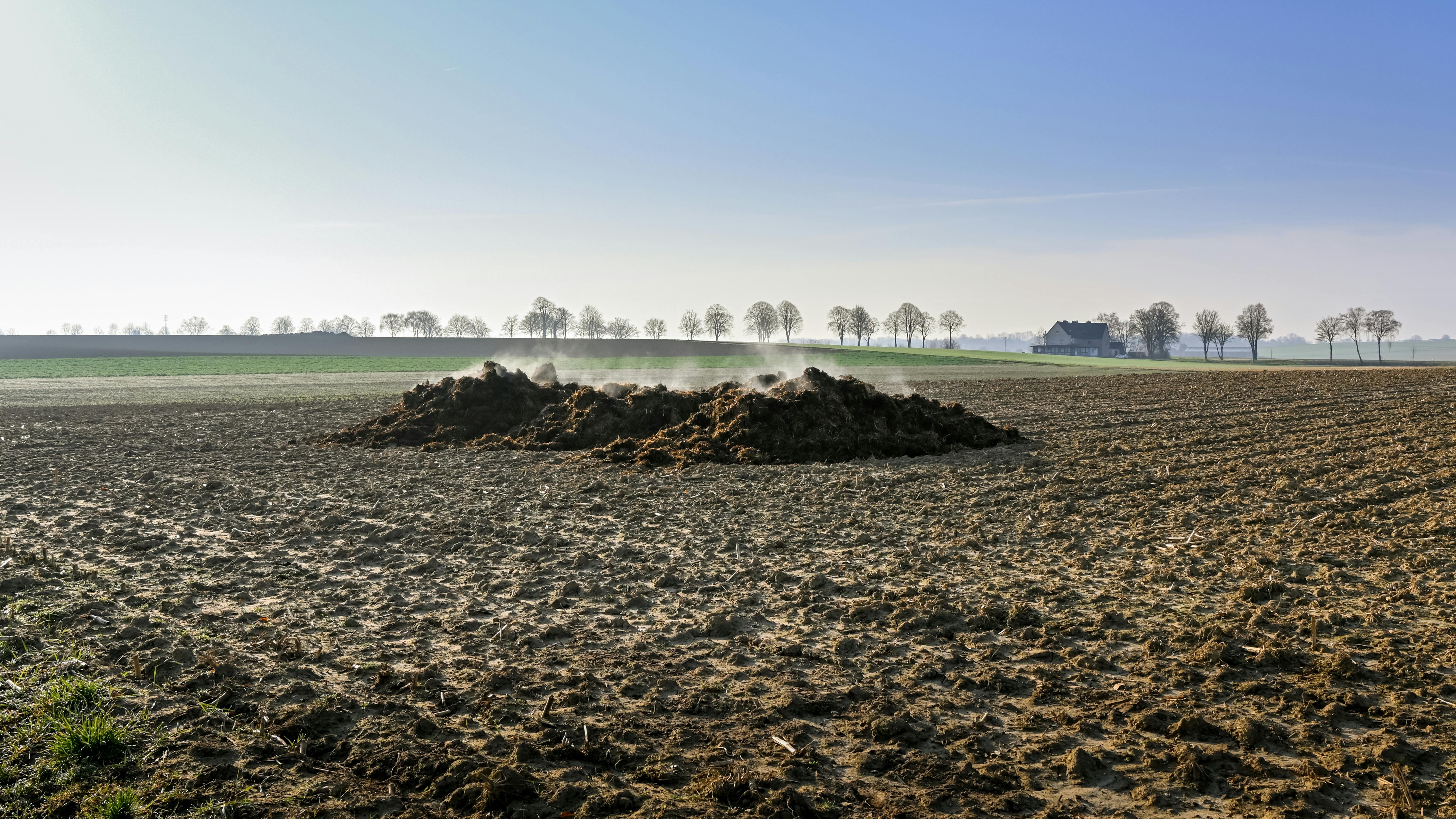 Organic Manure